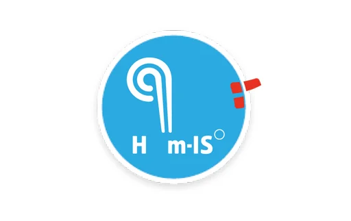 Hjem-Is
