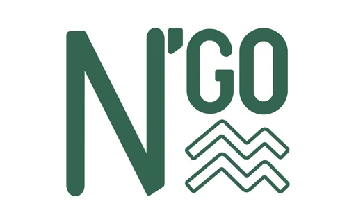 N'Go Shoes
