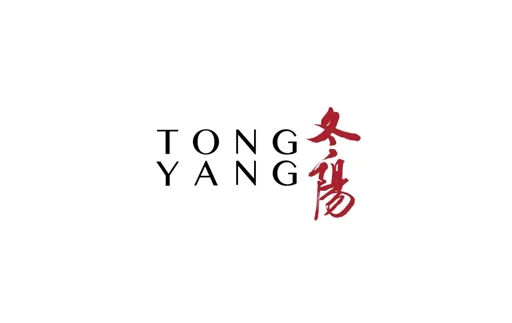 Tong Yang Plus